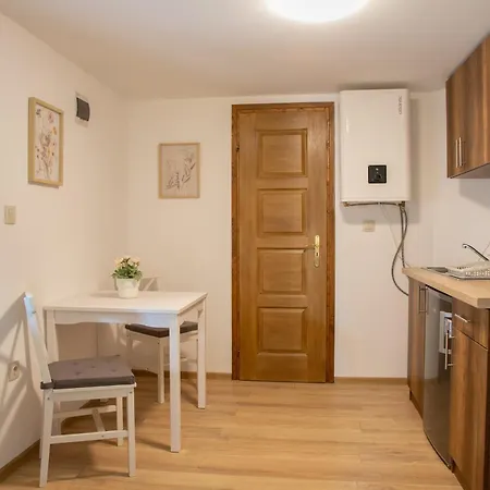 Vadvirag 2 Apartment