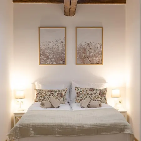 Vadvirag 2 公寓 久洛