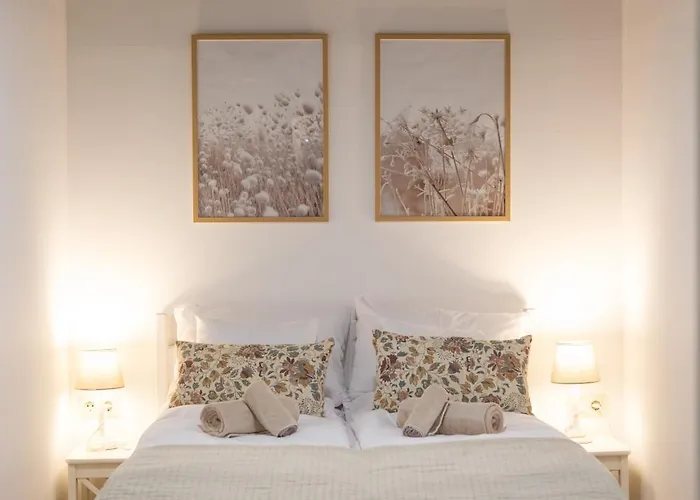 Vadvirag 2 公寓 久洛